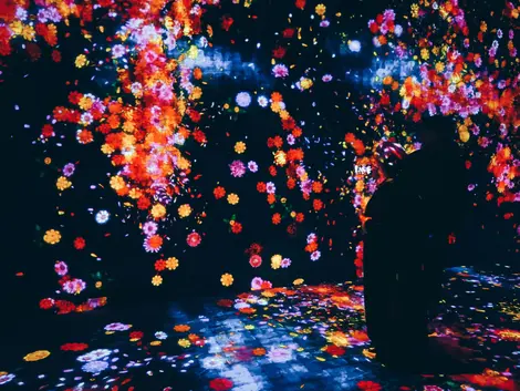 Teamlab flower show