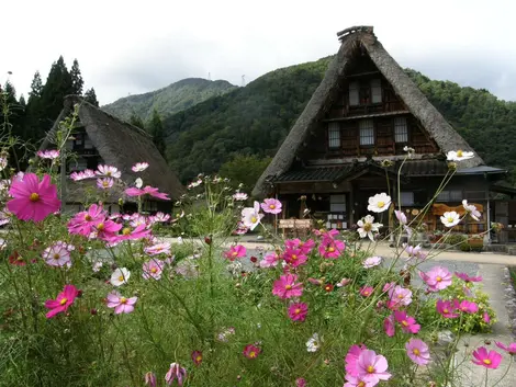 Suganuma Village in Gokayama