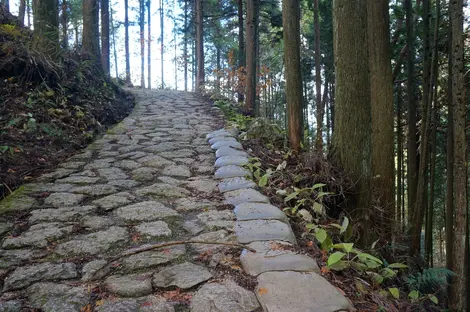 Stone path on the Magome-Tsumago Trail, part of the Nakasendo