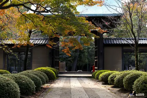 The Gotoku-ji temple has been built by using a cat that would have saved the life of a noble. Since the manekineko is one of Japan FIG.