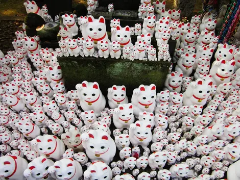 The Gotoku-ji in Tokyo is quite a sprawling complex where the famous cat statuettes focus on a single display.