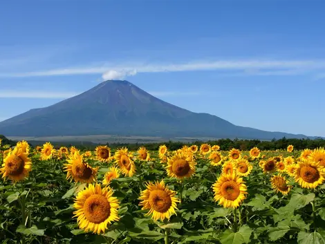 El Monte Fuji.