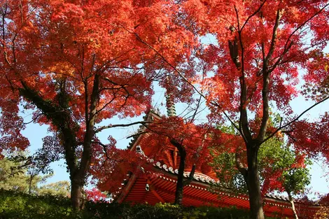 Mitakidera Temple