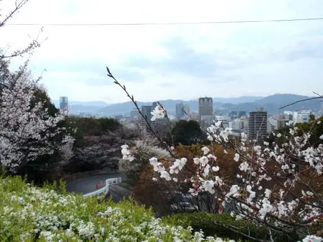 Hijiyama-koen Park in Hiroshima