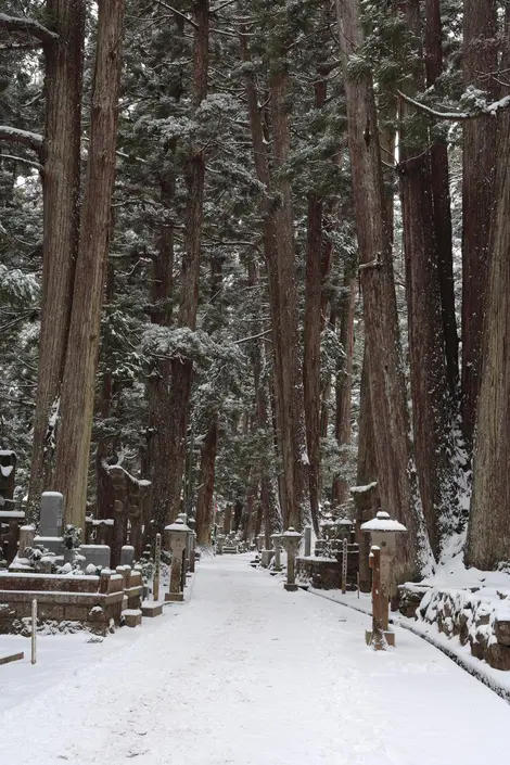 Cementerio Okunoin en Koyasan