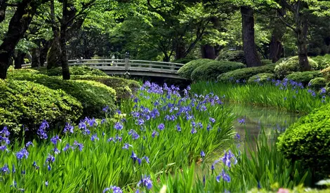 Kenrokuen Garden