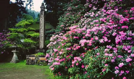 templo Kongo sanmai-in.