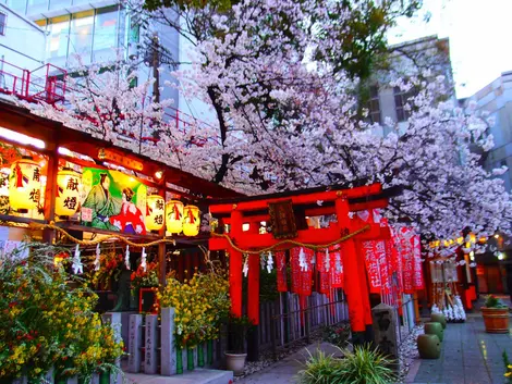 Tenjin Shrine Ohatsu