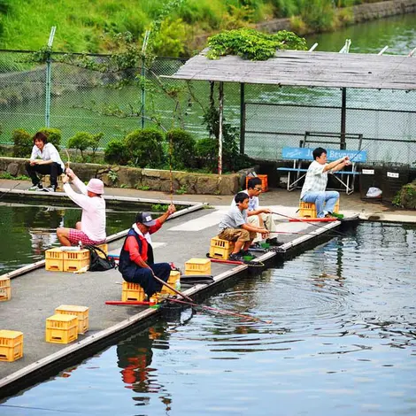 I peccatori di Ishigaya al Fish Center di Tokyo, uno stagno appositamente dedicato alla pesca.