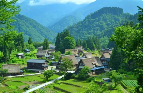 Village Gokayama