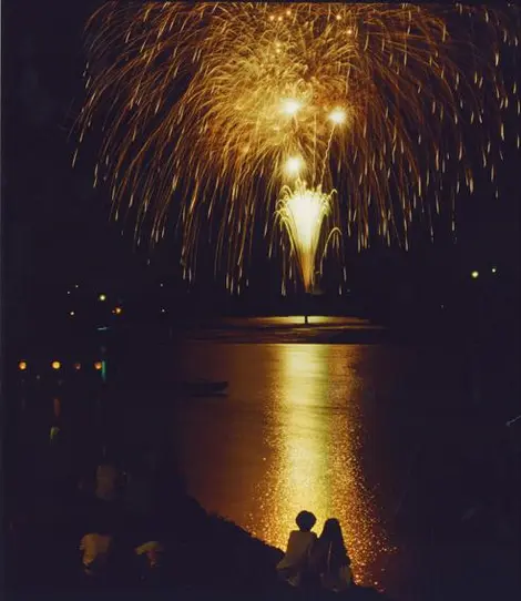 Il salice è una forma tradizionale dei fuochi d'artificio giapponesi.