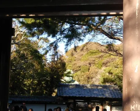 Kamakura Daibutsu