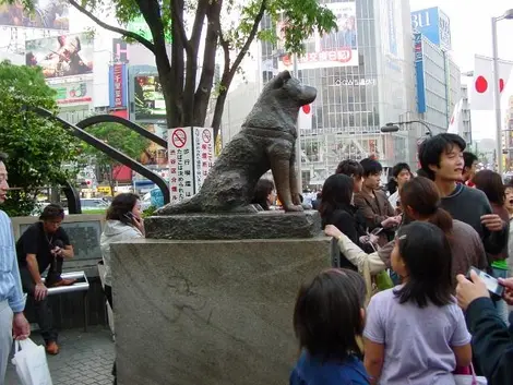 Hachikō, la estatua de bronce en Shibuya, Tokyo