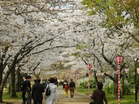 Osaka-jo koen