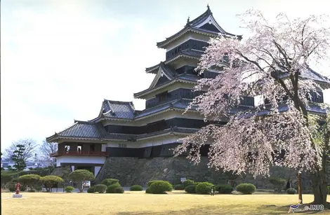 Matsumoto Castle