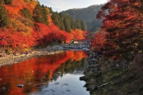 La impresionante vista del puente Taigetsukyo y los arces de Korankei.