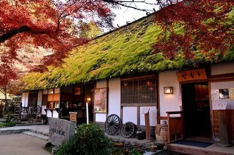 El museo Sanshu Asuke Yashiki.