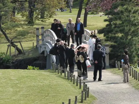 Une séance photo dans un jardin japonais.