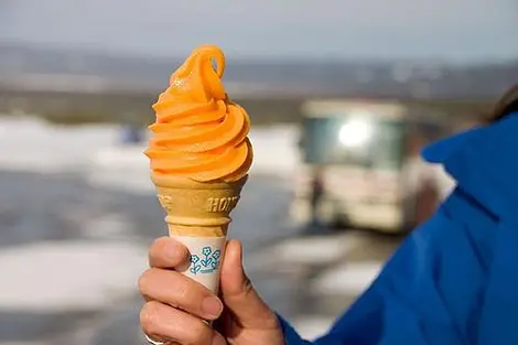 El famoso y delicioso helado de melon de Hokkaido.