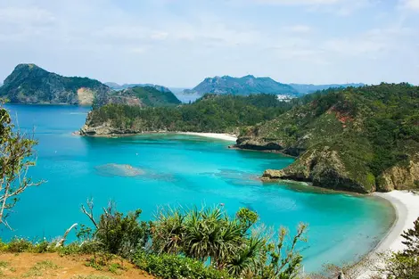 Le parc national d'Ogasawara sur l'île "Chichijima" ou île "père" 