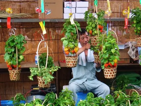 Le marché Hôzuki au Senso-ji