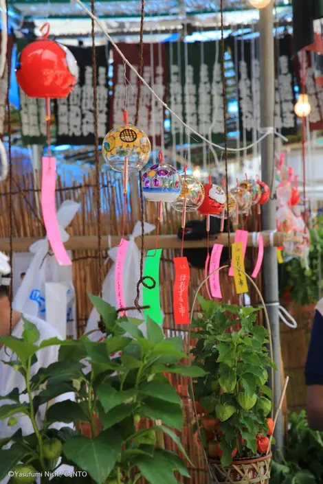 Furin et Hozuki au Marché Hozuki dans le Quartier d'Asakusa