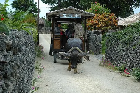 Taketomi Island, Okinawa