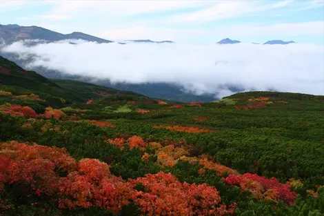 Entre terre et ciel, les charmes du parc national de Daisetsuzan