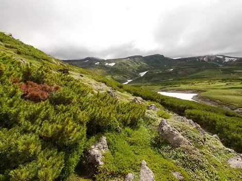 Le Mont Kuro, l'un des sommets du Parc Daisetsuzan