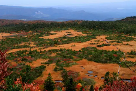 Chemin de randonnée sur le mont Hakkôda en automne