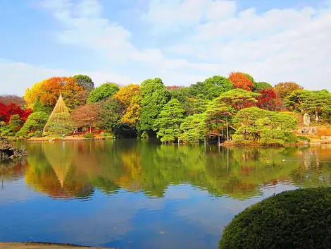 Dégradé des couleurs du jardin Rikugi-en