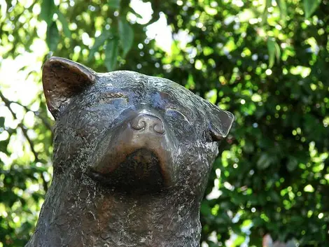 Detalle de la estatua de Hachikō en Shibuya