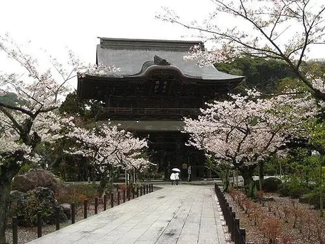 Kencho-ji, Kamakura