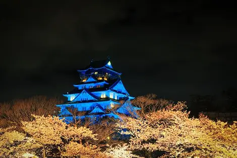 Admire the "yozakura", night cherry trees, at Osaka Castle Park