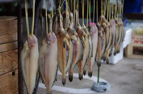 Seafood at morning market of Wajima, Noto Peninsula