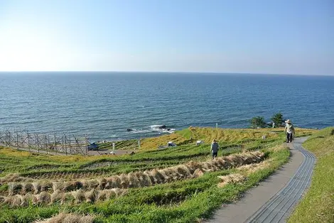 The terraced fields and rice fields of Senmaida