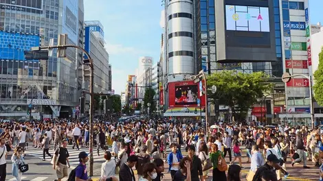 Le concept d'uchi et soto est profondément ancré dans la culture japonaise.