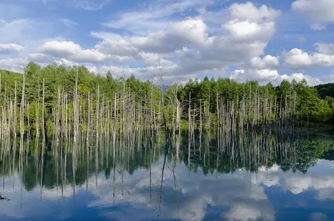 blue-pond