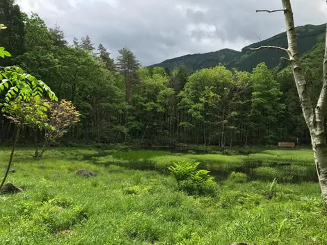 La vallée de Gandate Chaya, près de Takayama