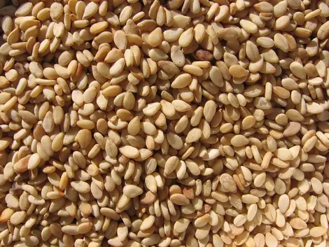 graines de sesame