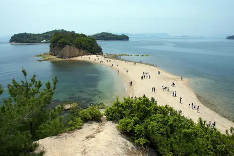 Shodoshima's "Angel Road"