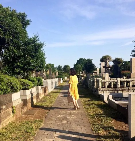 Le cimetière d'Aoyama