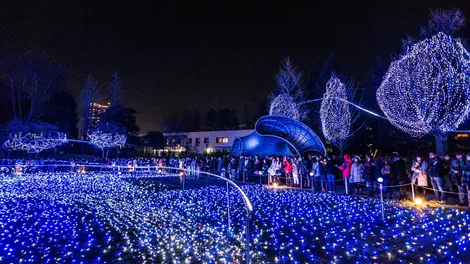 Les illuminations à Tokyo Midtown