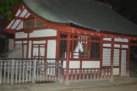 cheval_itsukushima