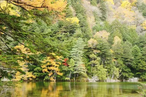 Chubu Sangaku National Park