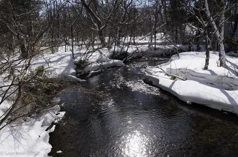 Remonter le cours de l'eau permet de découvrir des paysages insoupçonnés