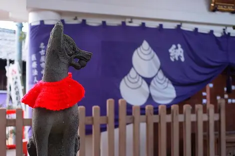 renard-chiyobo-inari-jinja