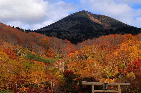 Le kôyô à Aomori