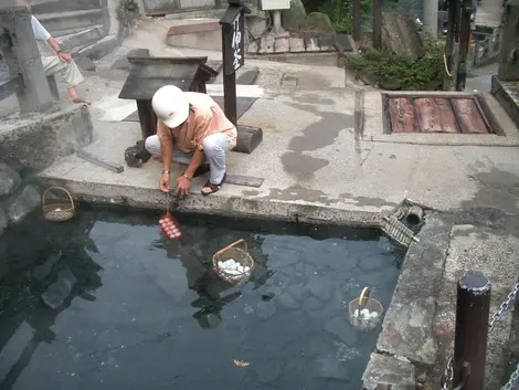 Cuire les oeufs dans l'eau de la source