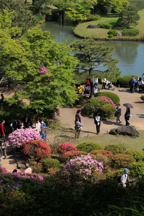 Le jardin Rikugi-en au printemps